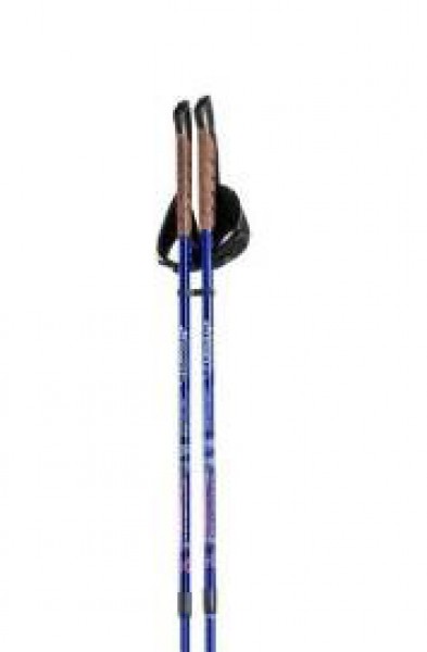 kijki-trekingowe-Nordic Walking-kategoria